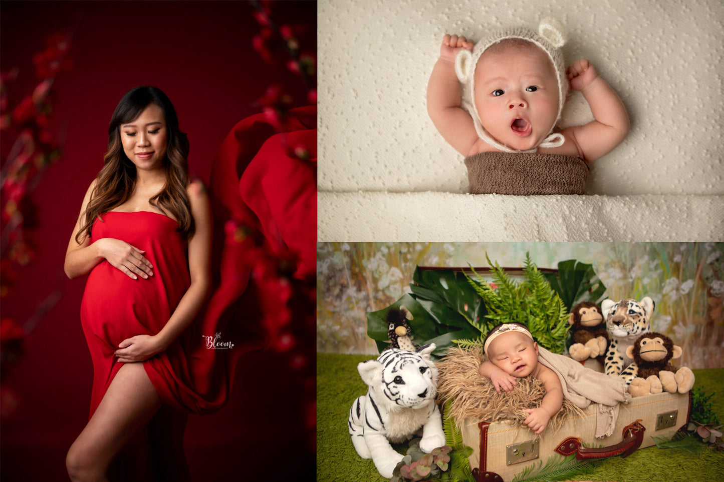 Maternity & Newborn Photoshoot Bundle